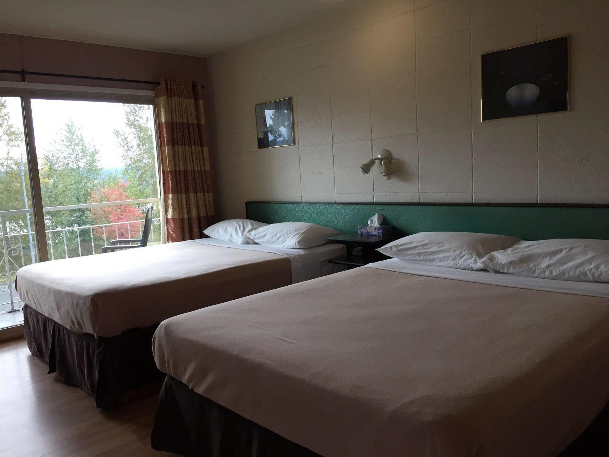 Holiday House Motel Ladysmith Kültér fotó